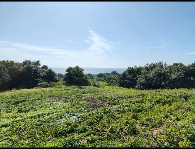 1,538M² VACANT LAND FOR SALE IN SEATON ESTATE